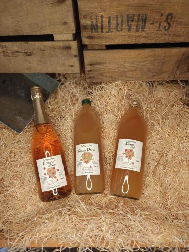 JUS DE POMME / POIRE